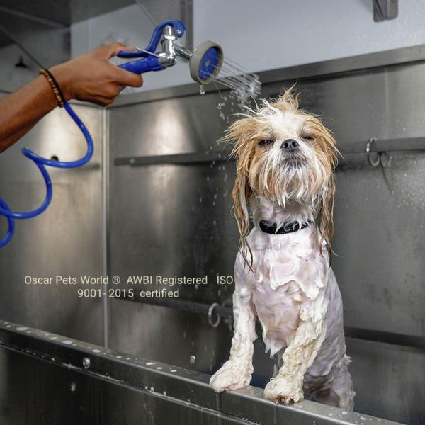 top notch grooming services