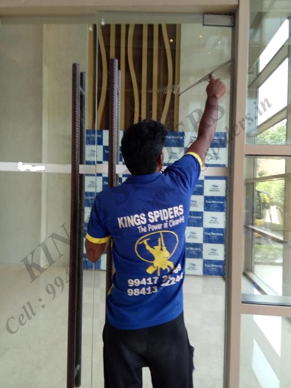 ecofriendly cleaning solutions