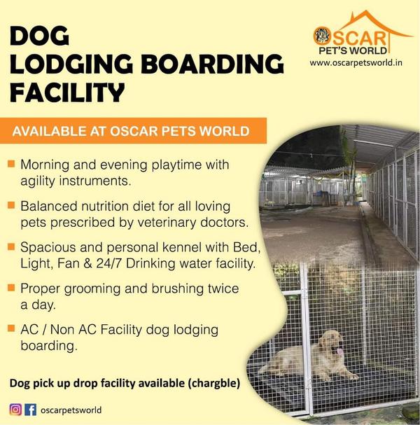 pet welfare
