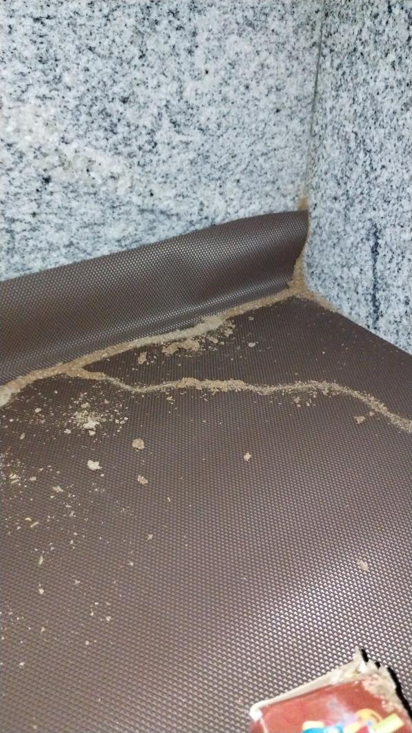 granite antitermite treatment