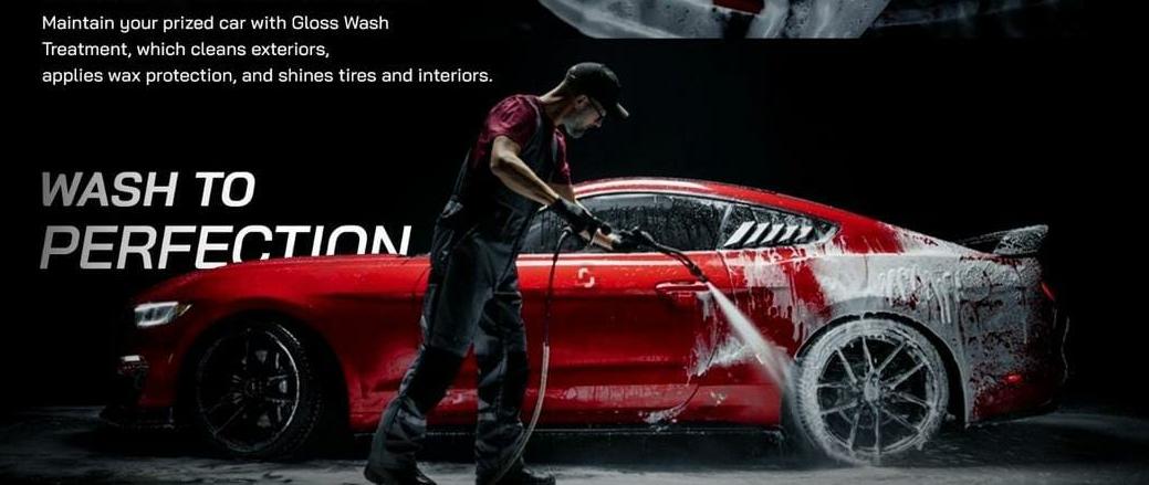 ida standard car detailing