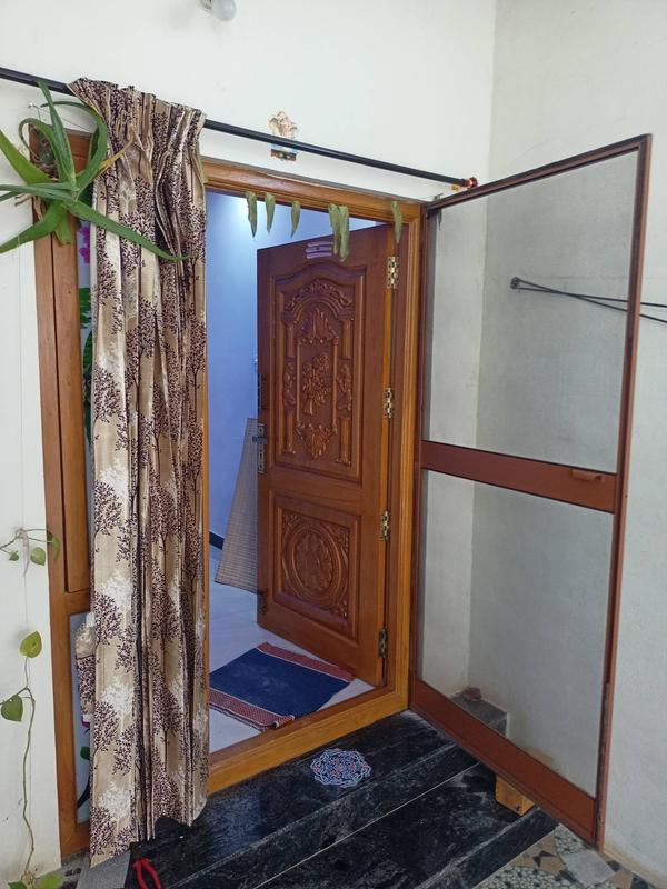 sleek modern mosquito net door