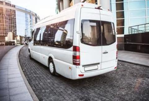 trusted travel partner
