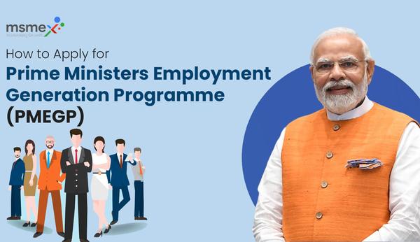 pmegp scheme consultant