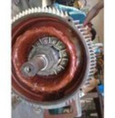 professional motor