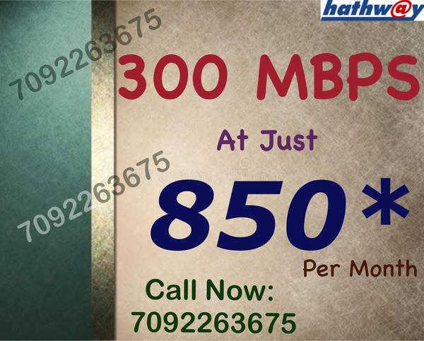 dedicated support team