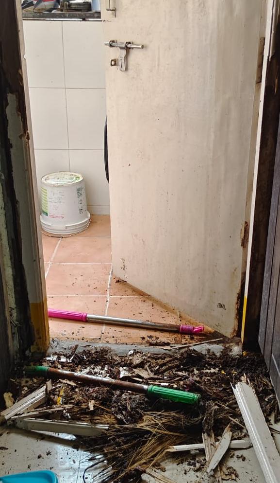 hyderabad mosquito control