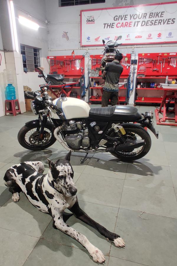 best bike accessories fitment