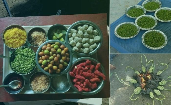 pune mango festival schedule m