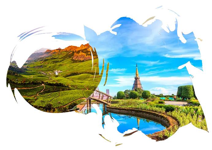 curated tour packages