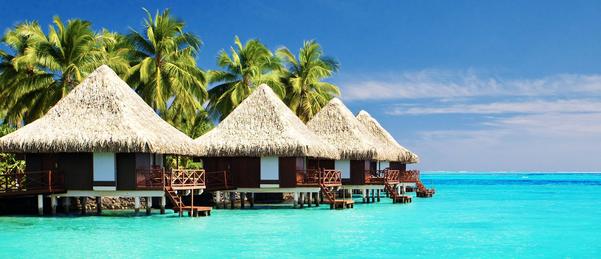 maldives international 5n 6d p