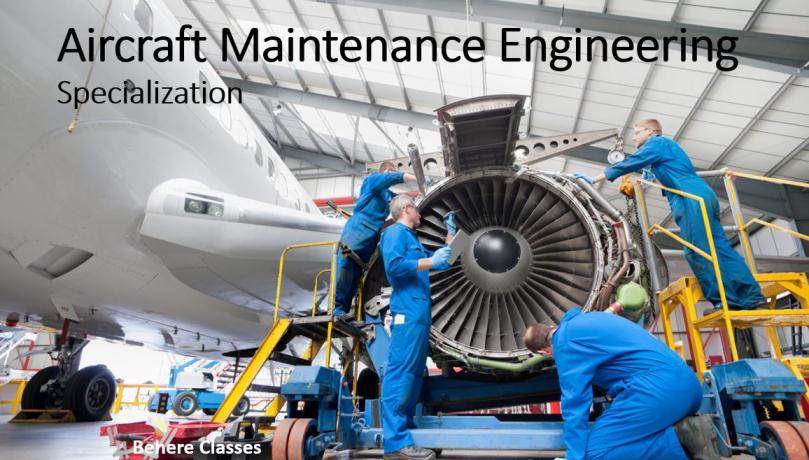 Article 2: Explore Speca