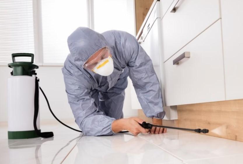 eradicate pests