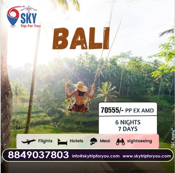 Bali Tour Packages from Vadoda