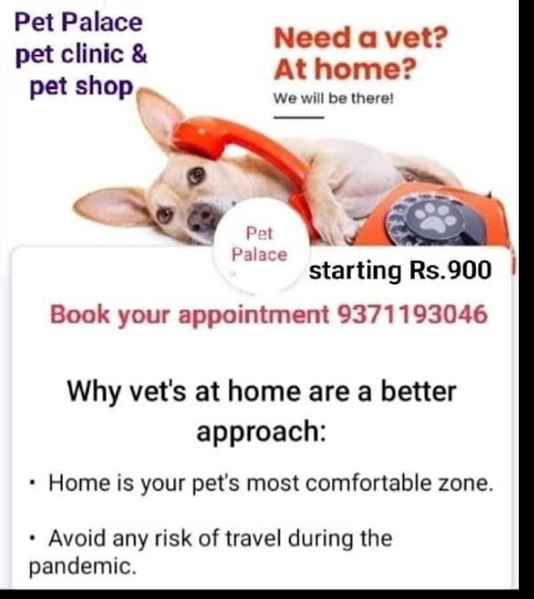 prior appointment