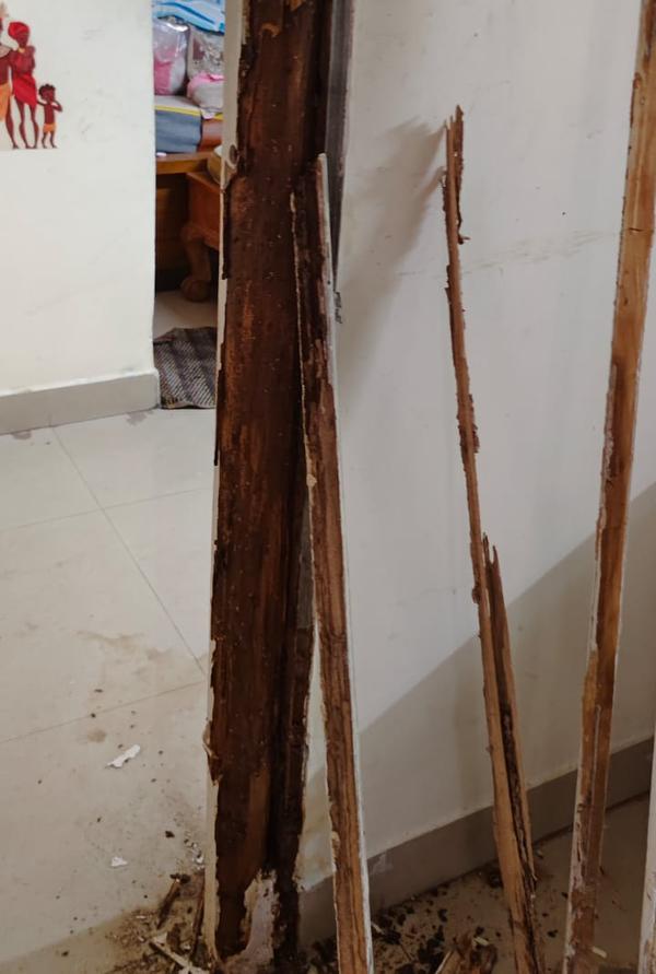 maxcure pest control