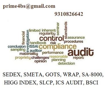 social compliance issues