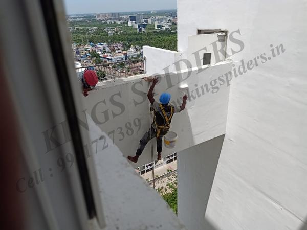 professional painting work in 