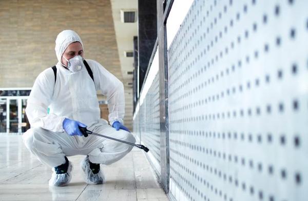 experts pests