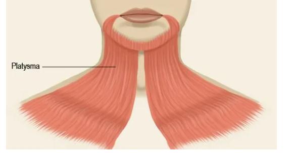 GNM courses in Ghodbunder