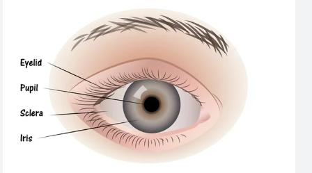 Best GNM courses in Andhe