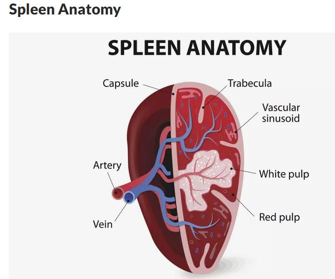 Best nursing colleges nea