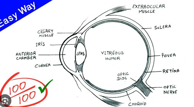 Best nursing job opportun