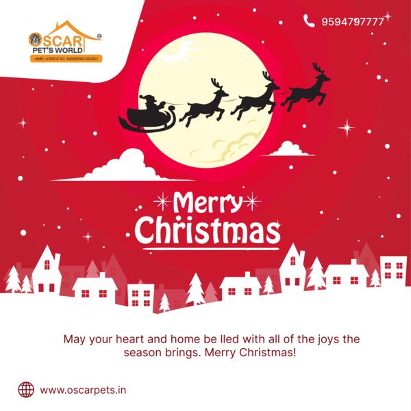 merry christmas full