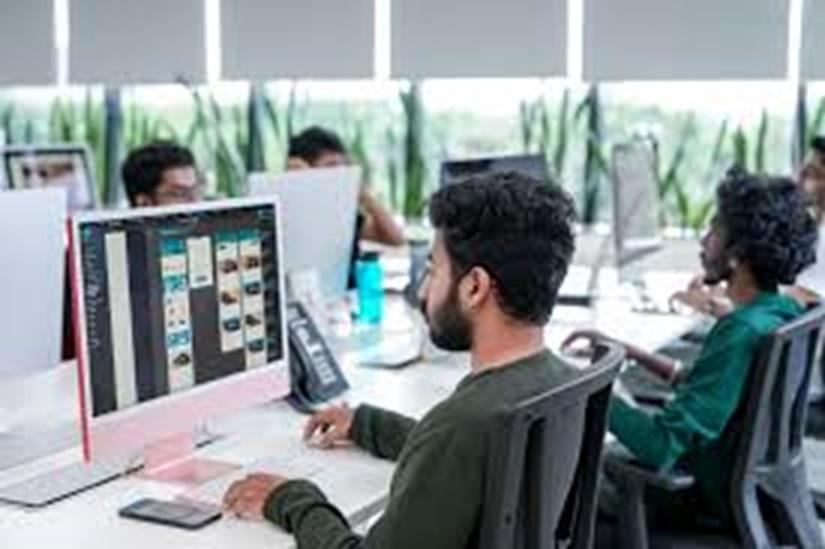 backend and frontend developer