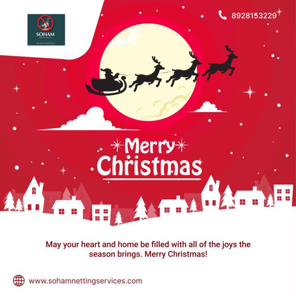 ✨ Wishing you a Merry Christma