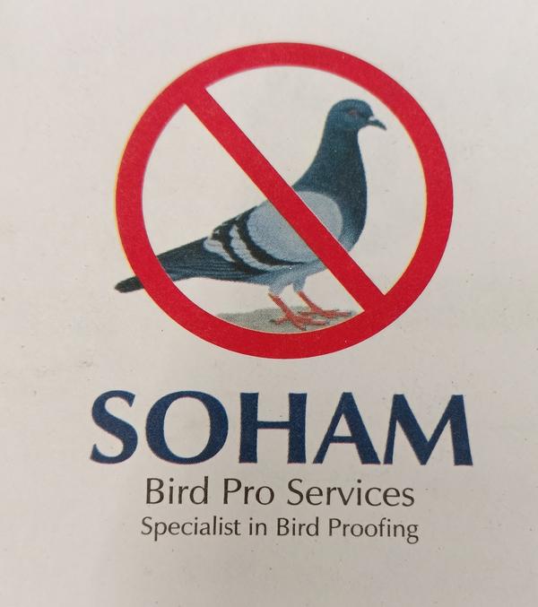 • Bird Net Installing In Than