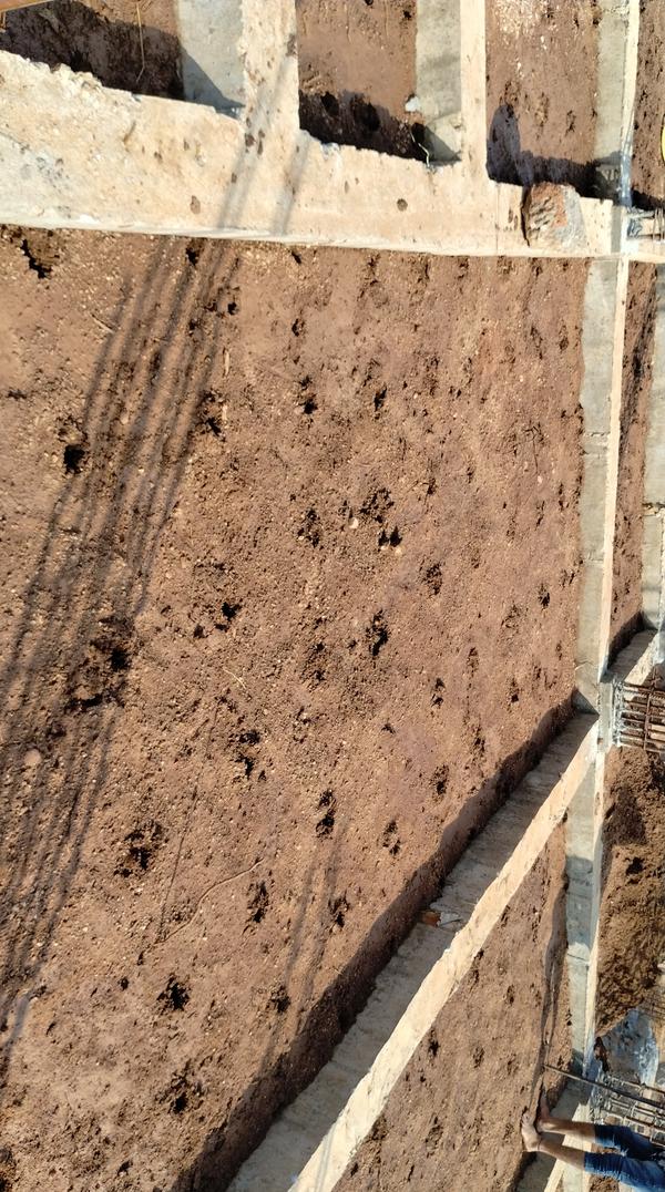 Pre-construction Antitermite T