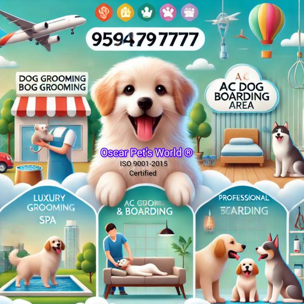 luxury dog boarding thane with