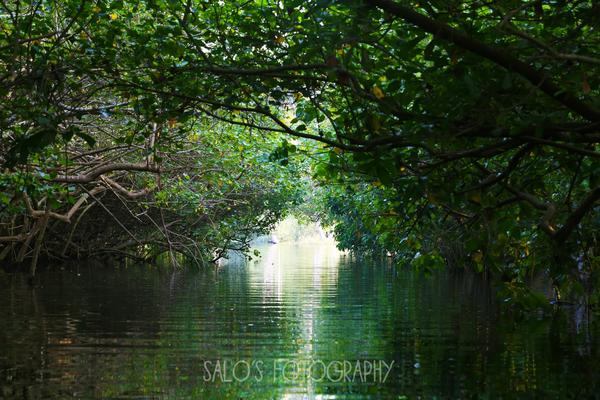 BEST PHOTOGRAPHY INSTITUT