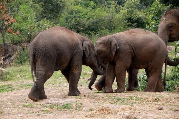 BEST PHOTOGRAPHY COURSE B