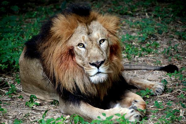 BEST PHOTOGRAPHY COURSE I