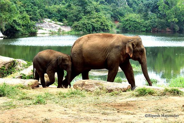 BEST PHOTOGRAPHY COURSE I