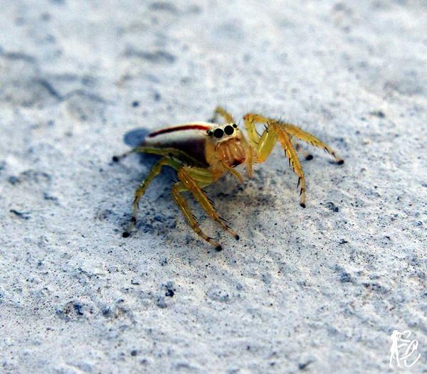 BEST PHOTOGRAPHY SCHOOL I