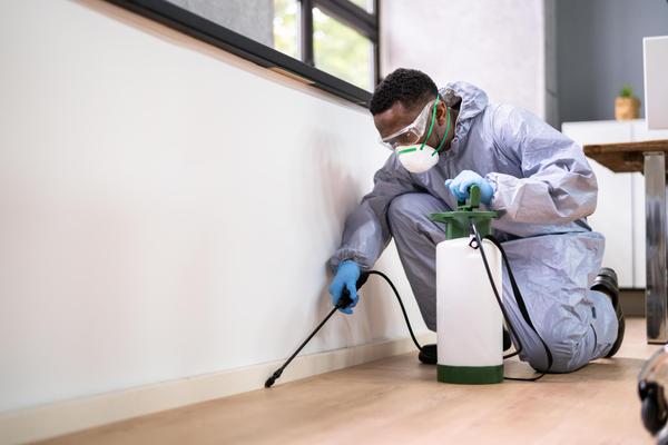 identify infestation levels