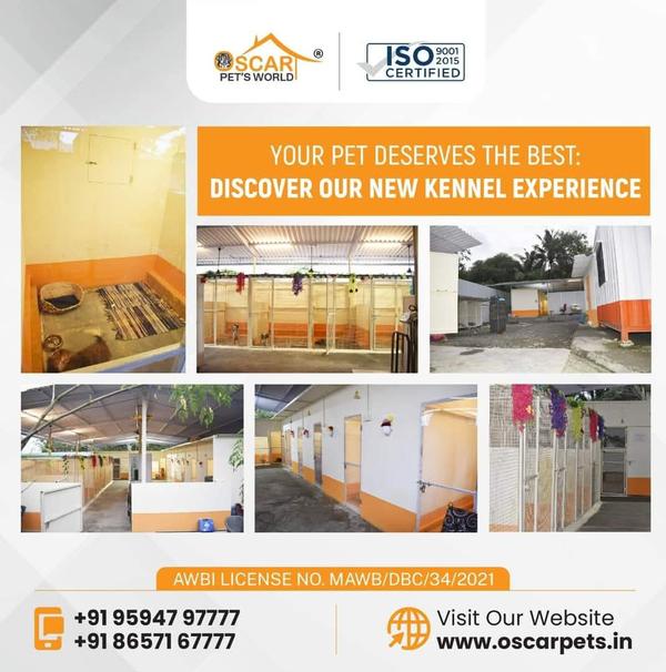 8108587777 visit