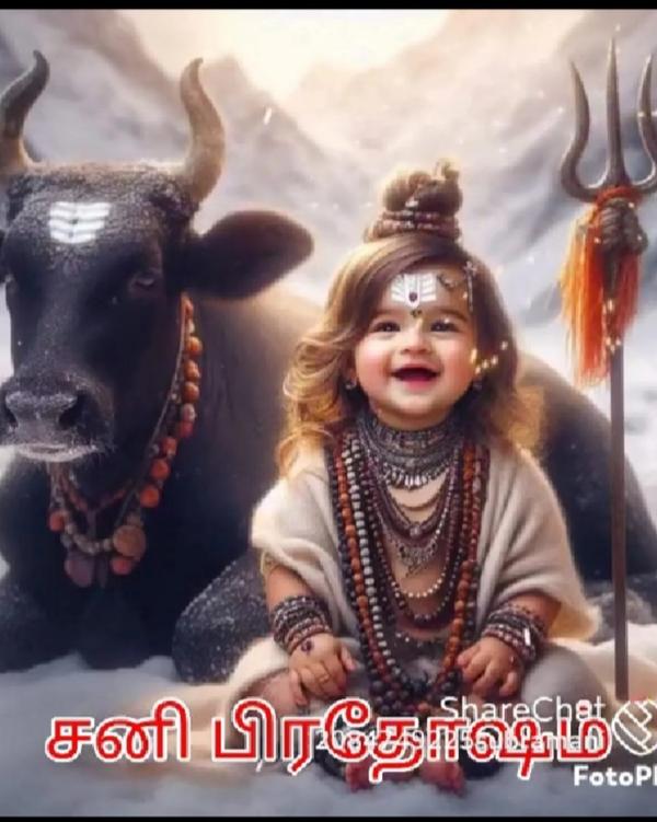 happy diwali greetings