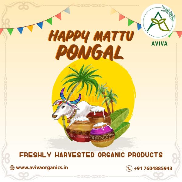 #Happy Pongal! Wishing y