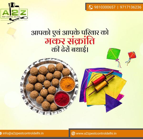 makar sankranti