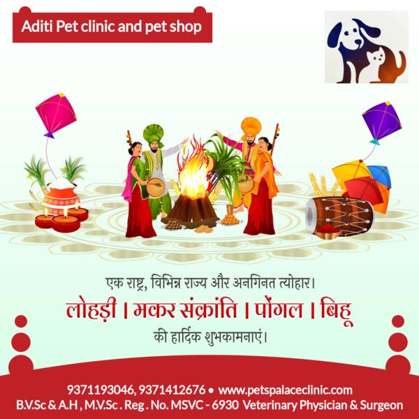 happy makar sankranti