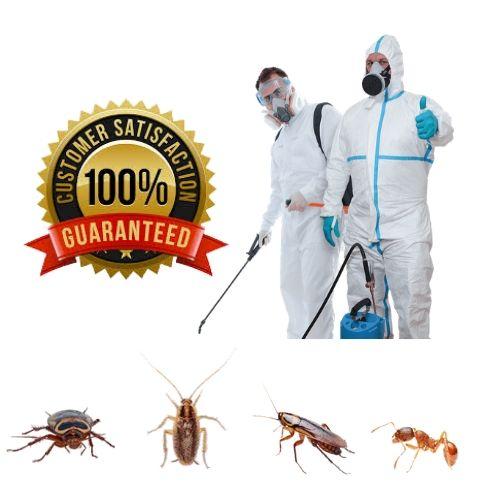 residential pest control in wa