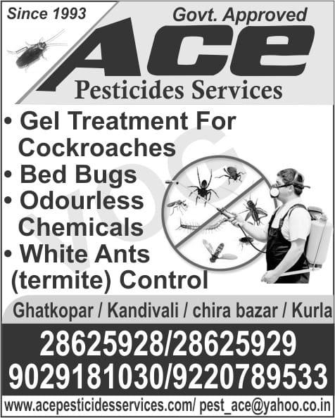 termite control bandra east