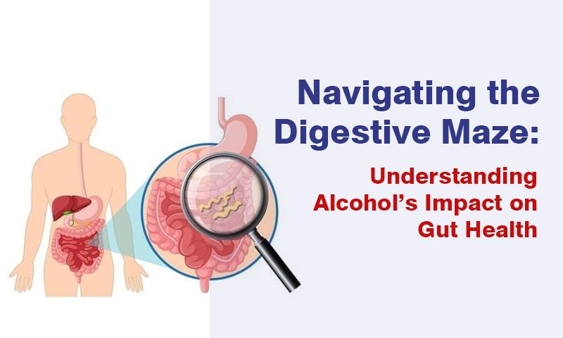 esophagus stomach
