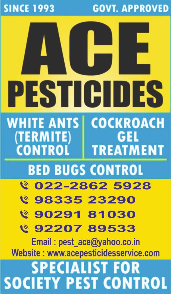 termite control bandra east