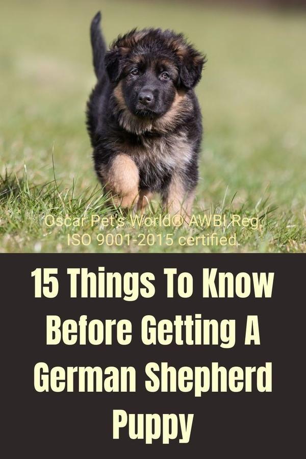 pet owners call