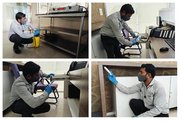 corporate pest control solutio